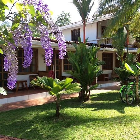 Posada Nena Caribe Puerto Viejo de Talamanca Exteriör bild