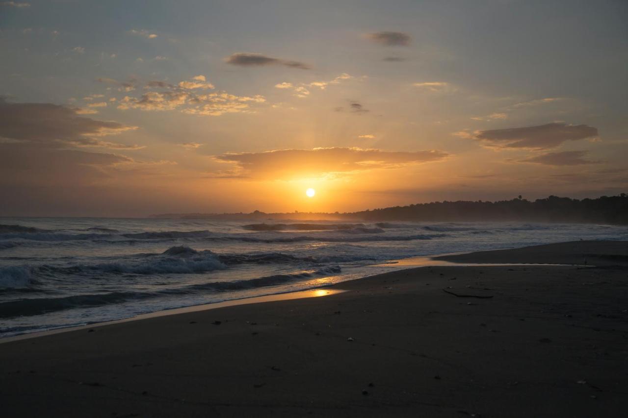 Posada Nena Caribe Puerto Viejo de Talamanca Exteriör bild