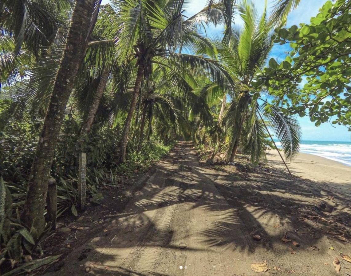 Posada Nena Caribe Puerto Viejo de Talamanca Exteriör bild