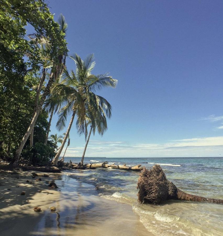 Posada Nena Caribe Puerto Viejo de Talamanca Exteriör bild