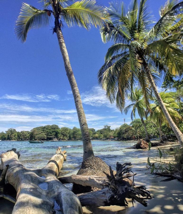 Posada Nena Caribe Puerto Viejo de Talamanca Exteriör bild