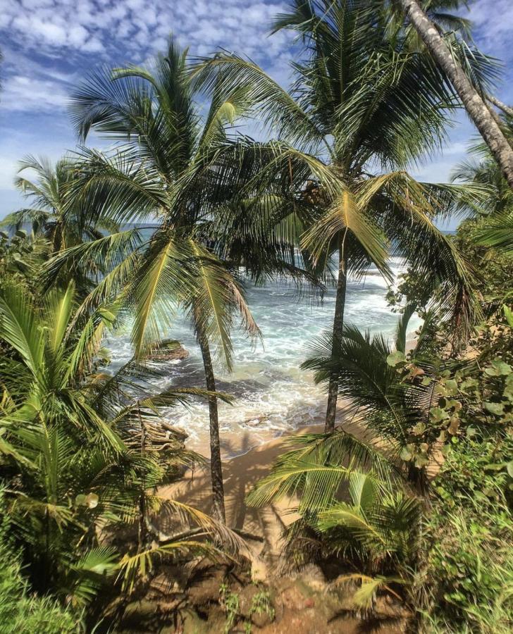 Posada Nena Caribe Puerto Viejo de Talamanca Exteriör bild