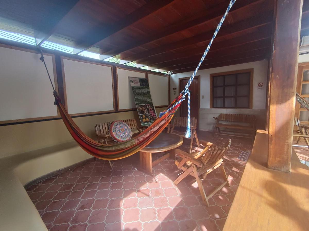 Posada Nena Caribe Puerto Viejo de Talamanca Exteriör bild