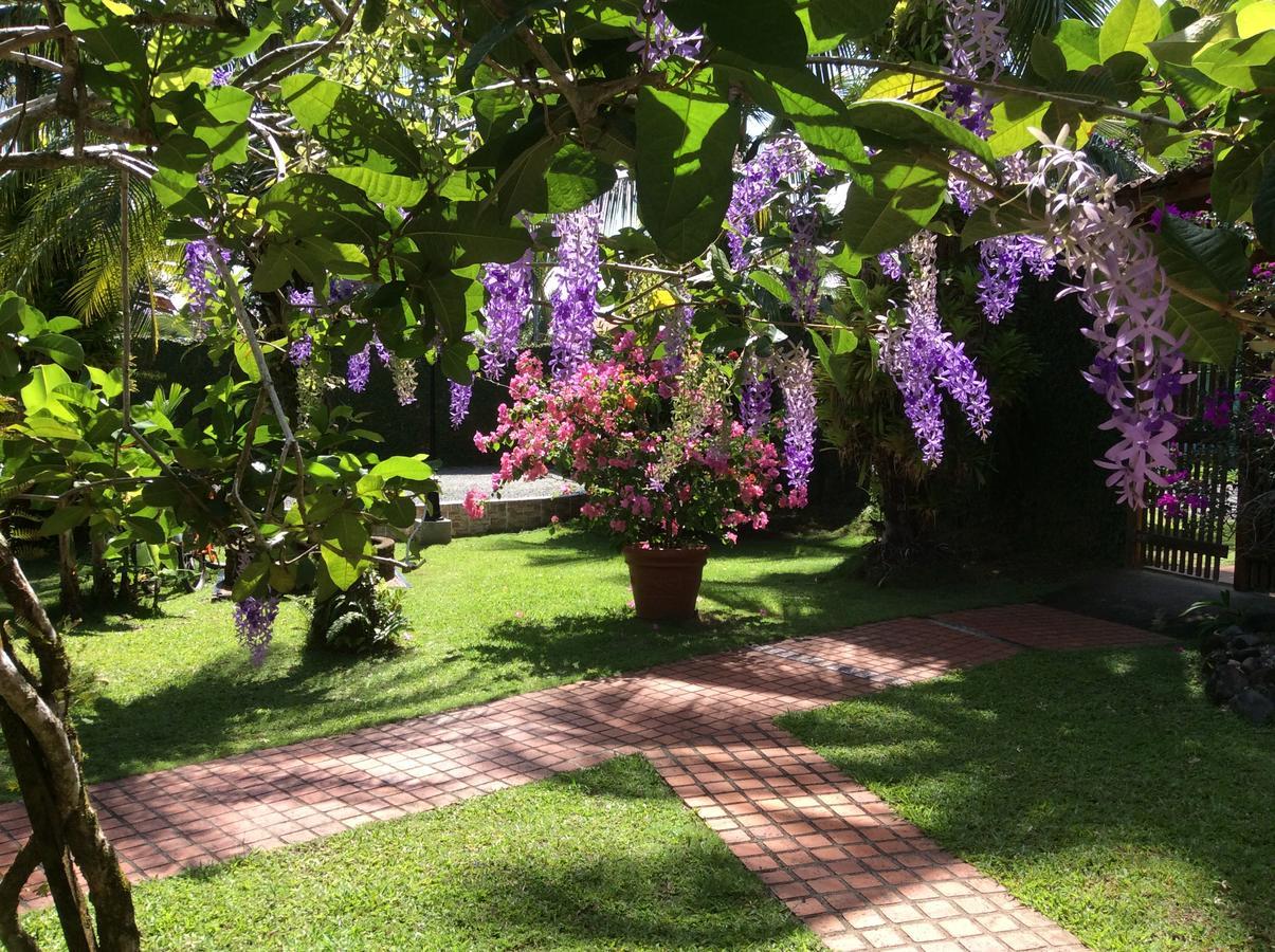 Posada Nena Caribe Puerto Viejo de Talamanca Exteriör bild