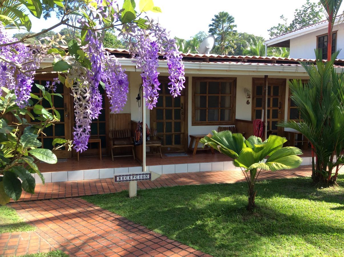 Posada Nena Caribe Puerto Viejo de Talamanca Exteriör bild